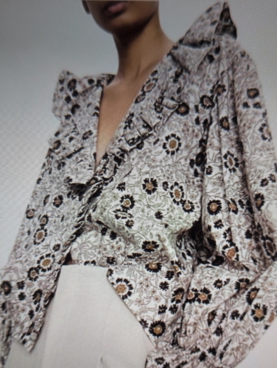 Zara Tops - Zara Floral Ruffle Blouse in Cream & Brown